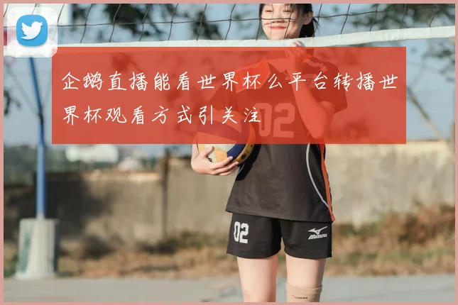企鹅直播能看世界杯么平台转播世界杯观看方式引关注