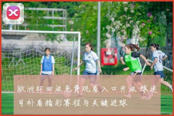 欧洲杯回放免费观看入口开放 球迷可补看精彩赛程与关键进球